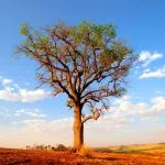 fotografia de paisagem