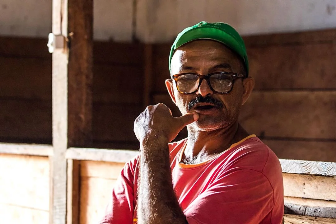 Cacau - Chocolate - Cacau Amado - Ilhéus - Fotografias de Paisagens - Paisagens Bonitas - Paisagens Lindas - Fotos de Paisagens Naturais - Fotografia de Paisagem - Fotografia de Viagem - Terras do Sem Fim