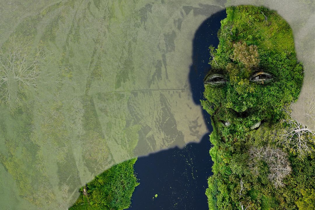 Cacau - Chocolate - Cacau Amado - Ilhéus - Fotografias de Paisagens - Paisagens Bonitas - Paisagens Lindas - Fotos de Paisagens Naturais - Fotografia de Paisagem - Fotografia de Viagem - Terras do Sem Fim