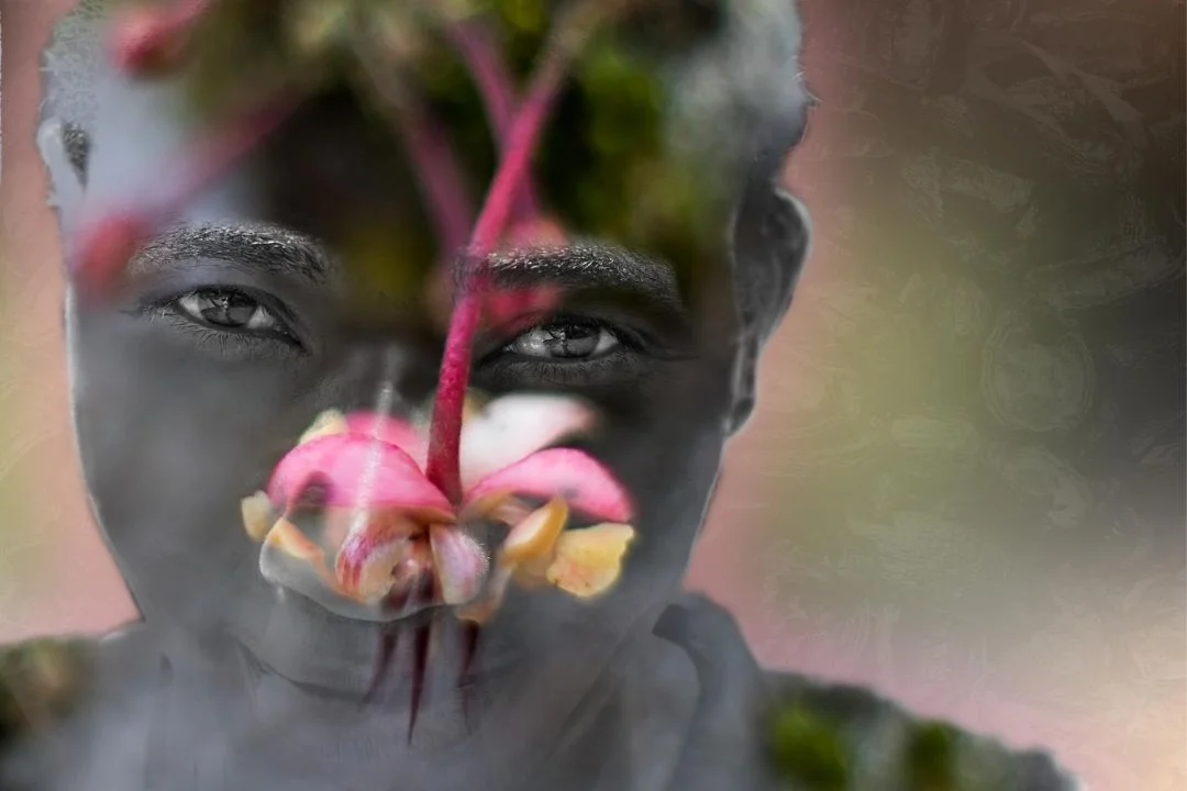 Cacau - Chocolate - Cacau Amado - Ilhéus - Fotografias de Paisagens - Paisagens Bonitas - Paisagens Lindas - Fotos de Paisagens Naturais - Fotografia de Paisagem - Fotografia de Viagem - Terras do Sem Fim