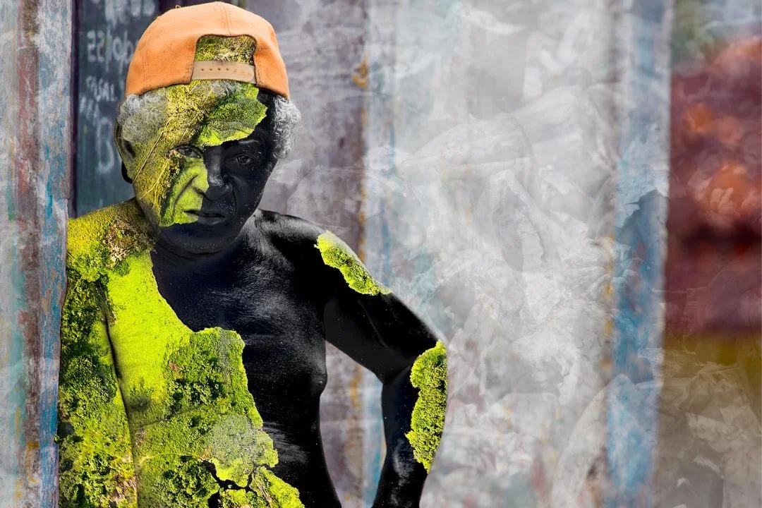 Cacau - Chocolate - Cacau Amado - Ilhéus - Fotografias de Paisagens - Paisagens Bonitas - Paisagens Lindas - Fotos de Paisagens Naturais - Fotografia de Paisagem - Fotografia de Viagem - Terras do Sem Fim