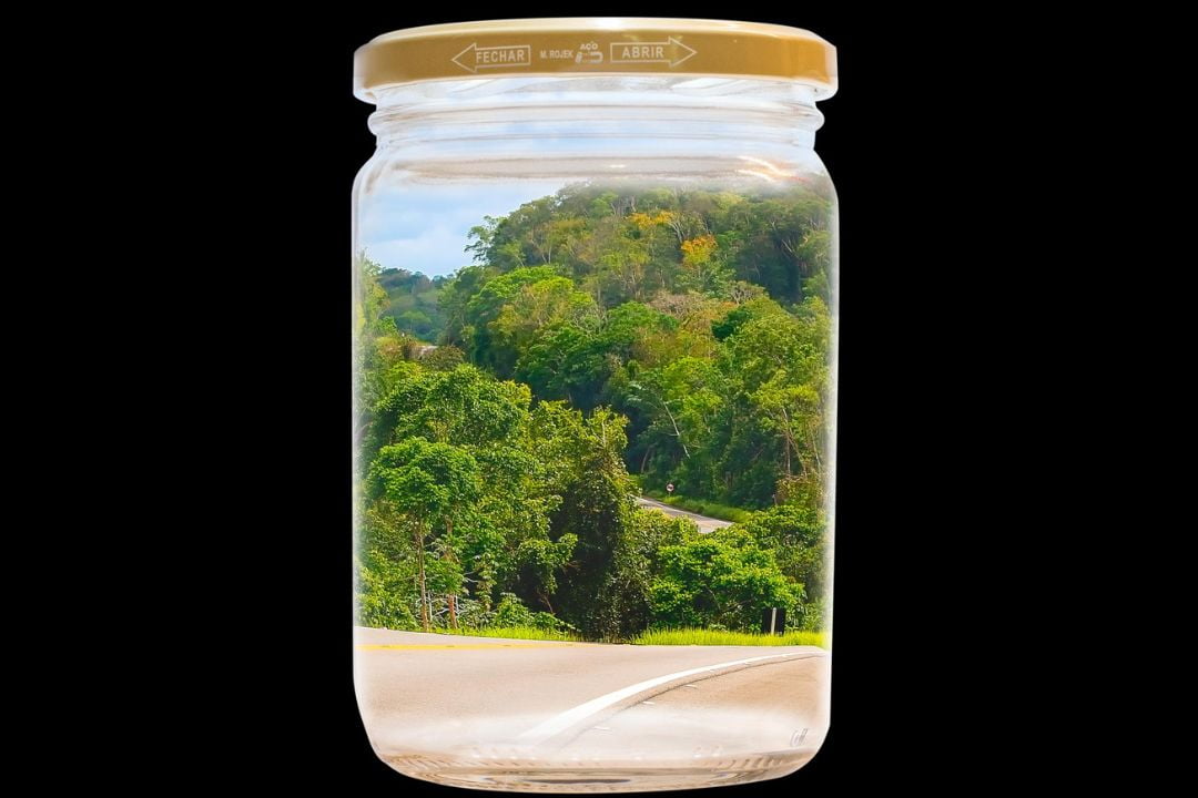 Cacau - Chocolate - Cacau Amado - Ilhéus - Fotografias de Paisagens - Paisagens Bonitas - Paisagens Lindas - Fotos de Paisagens Naturais - Fotografia de Paisagem - Fotografia de Viagem - Terras do Sem Fim