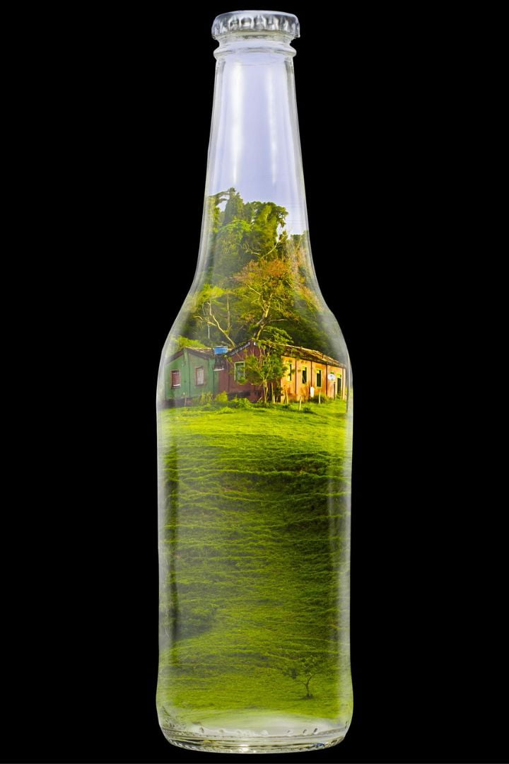 Cacau - Chocolate - Cacau Amado - Ilhéus - Fotografias de Paisagens - Paisagens Bonitas - Paisagens Lindas - Fotos de Paisagens Naturais - Fotografia de Paisagem - Fotografia de Viagem - Terras do Sem Fim