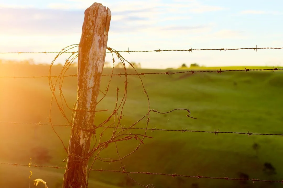 Cacau - Chocolate - Cacau Amado - Ilhéus - Fotografias de Paisagens - Paisagens Bonitas - Paisagens Lindas - Fotos de Paisagens Naturais - Fotografia de Paisagem - Fotografia de Viagem - Terras do Sem Fim
