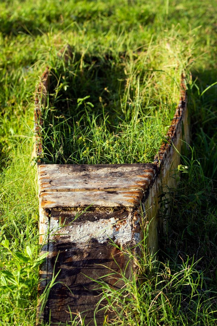 Cacau - Chocolate - Cacau Amado - Ilhéus - Fotografias de Paisagens - Paisagens Bonitas - Paisagens Lindas - Fotos de Paisagens Naturais - Fotografia de Paisagem - Fotografia de Viagem - Terras do Sem Fim