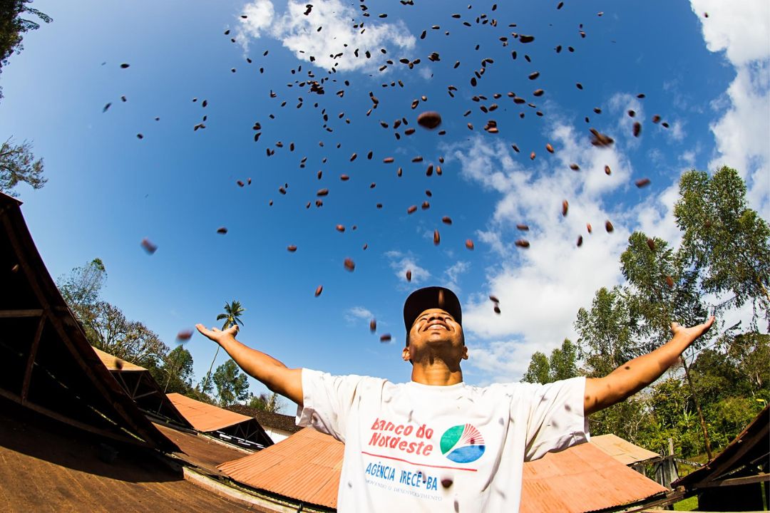 Cacau - Chocolate - Cacau Amado - Ilhéus - Fotografias de Paisagens - Paisagens Bonitas - Paisagens Lindas - Fotos de Paisagens Naturais - Fotografia de Paisagem - Fotografia de Viagem - Terras do Sem Fim