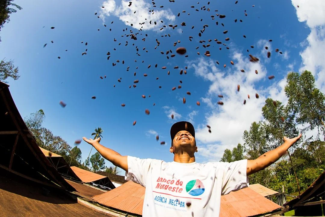 Cacau - Chocolate - Cacau Amado - Ilhéus - Fotografias de Paisagens - Paisagens Bonitas - Paisagens Lindas - Fotos de Paisagens Naturais - Fotografia de Paisagem - Fotografia de Viagem - Terras do Sem Fim