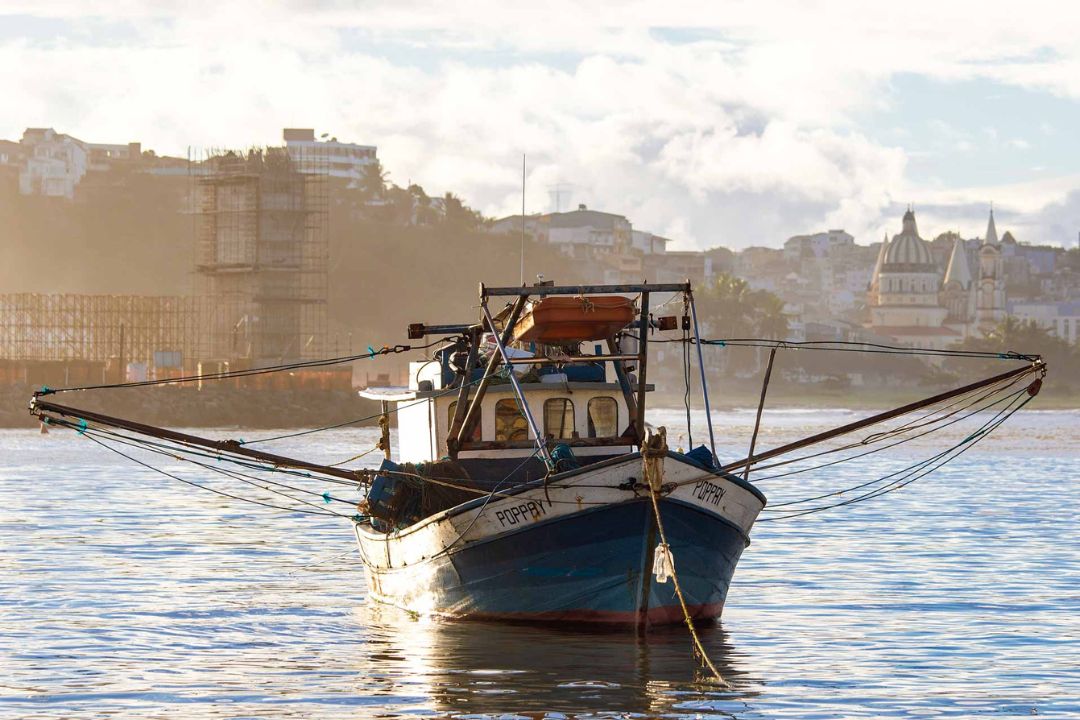 Cacau - Chocolate - Cacau Amado - Ilhéus - Fotografias de Paisagens - Paisagens Bonitas - Paisagens Lindas - Fotos de Paisagens Naturais - Fotografia de Paisagem - Fotografia de Viagem - Terras do Sem Fim