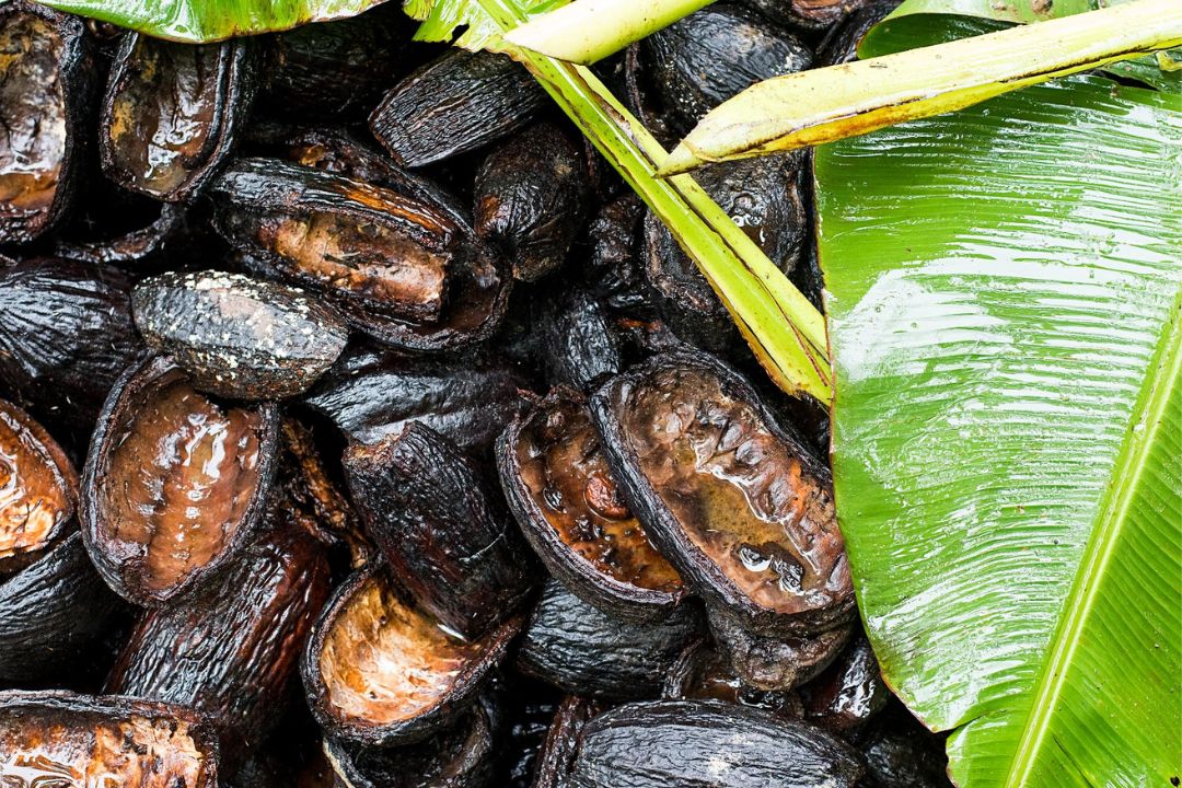 Cacau - Chocolate - Cacau Amado - Ilhéus - Fotografias de Paisagens - Paisagens Bonitas - Paisagens Lindas - Fotos de Paisagens Naturais - Fotografia de Paisagem - Fotografia de Viagem - Terras do Sem Fim