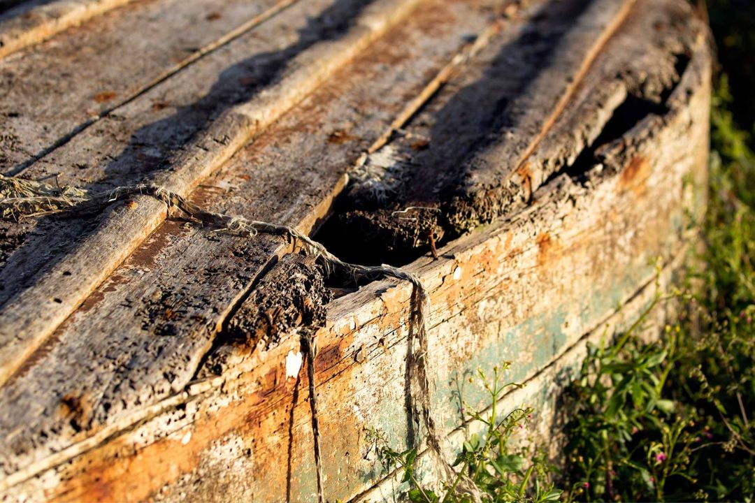 Cacau - Chocolate - Cacau Amado - Ilhéus - Fotografias de Paisagens - Paisagens Bonitas - Paisagens Lindas - Fotos de Paisagens Naturais - Fotografia de Paisagem - Fotografia de Viagem - Terras do Sem Fim