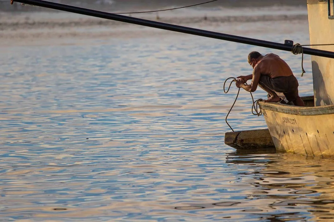 Cacau - Chocolate - Cacau Amado - Ilhéus - Fotografias de Paisagens - Paisagens Bonitas - Paisagens Lindas - Fotos de Paisagens Naturais - Fotografia de Paisagem - Fotografia de Viagem - Terras do Sem Fim