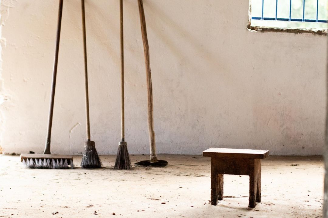 Cacau - Chocolate - Cacau Amado - Ilhéus - Fotografias de Paisagens - Paisagens Bonitas - Paisagens Lindas - Fotos de Paisagens Naturais - Fotografia de Paisagem - Fotografia de Viagem - Terras do Sem Fim