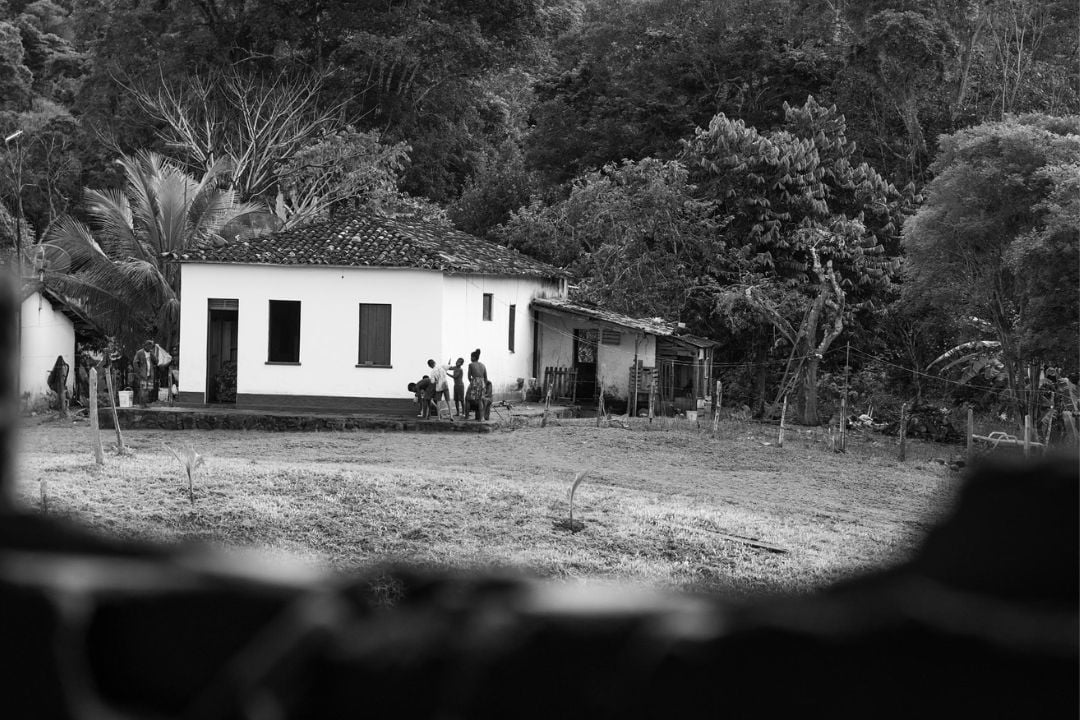 Cacau - Chocolate - Cacau Amado - Ilhéus - Fotografias de Paisagens - Paisagens Bonitas - Paisagens Lindas - Fotos de Paisagens Naturais - Fotografia de Paisagem - Fotografia de Viagem - Terras do Sem Fim