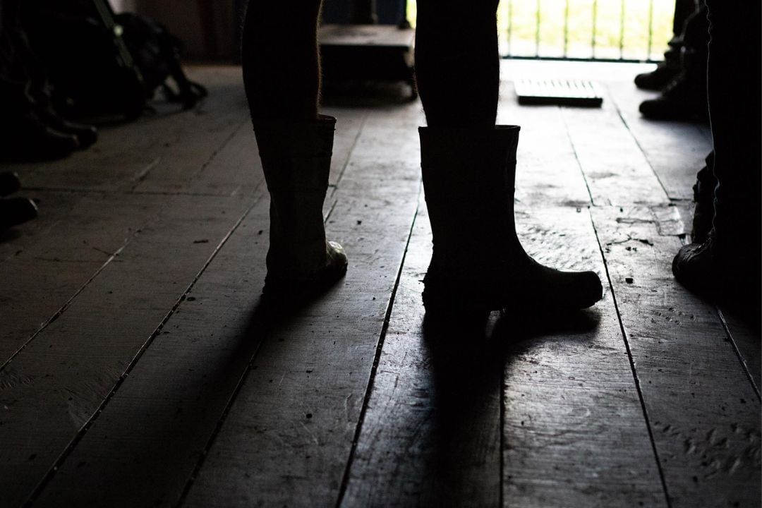 Cacau - Chocolate - Cacau Amado - Ilhéus - Fotografias de Paisagens - Paisagens Bonitas - Paisagens Lindas - Fotos de Paisagens Naturais - Fotografia de Paisagem - Fotografia de Viagem - Terras do Sem Fim