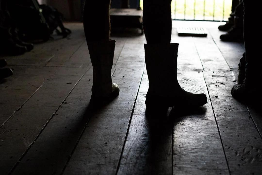 Cacau - Chocolate - Cacau Amado - Ilhéus - Fotografias de Paisagens - Paisagens Bonitas - Paisagens Lindas - Fotos de Paisagens Naturais - Fotografia de Paisagem - Fotografia de Viagem - Terras do Sem Fim