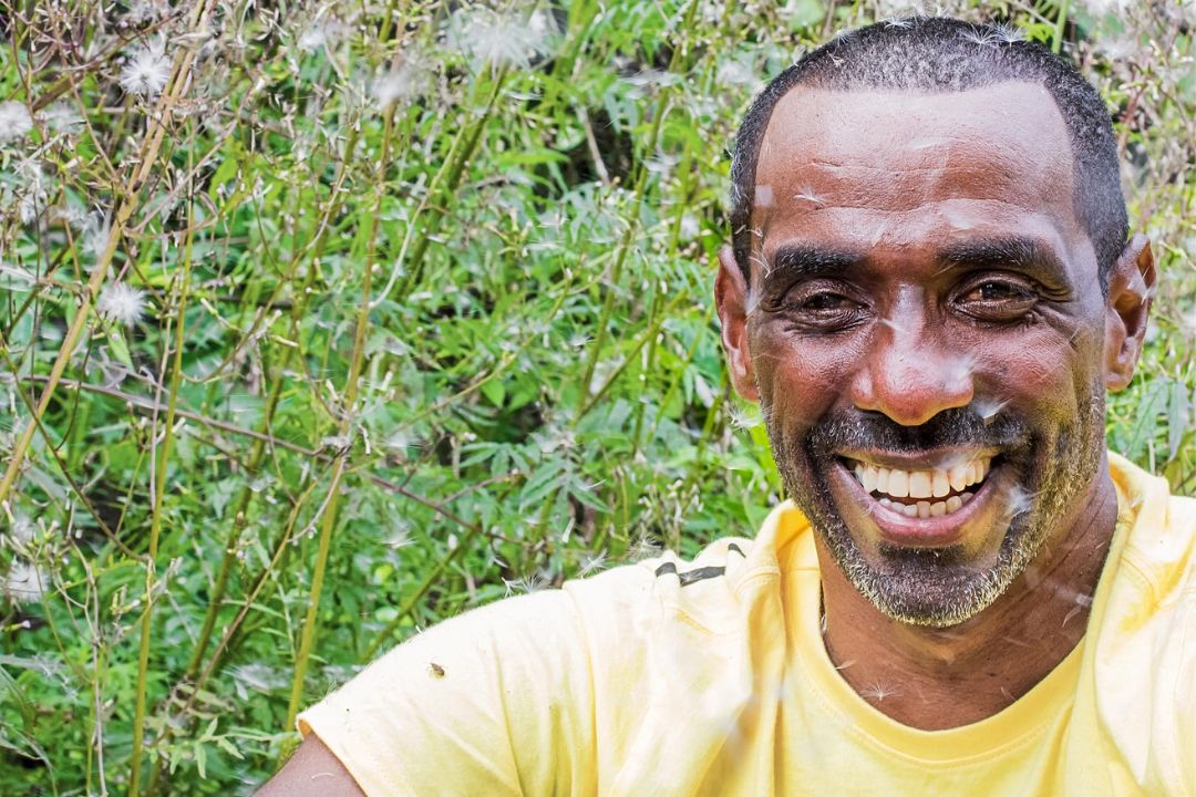 Cacau - Chocolate - Cacau Amado - Ilhéus - Fotografias de Paisagens - Paisagens Bonitas - Paisagens Lindas - Fotos de Paisagens Naturais - Fotografia de Paisagem - Fotografia de Viagem - Terras do Sem Fim