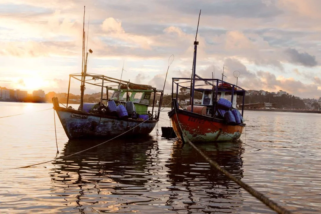 Cacau - Chocolate - Cacau Amado - Ilhéus - Fotografias de Paisagens - Paisagens Bonitas - Paisagens Lindas - Fotos de Paisagens Naturais - Fotografia de Paisagem - Fotografia de Viagem - Terras do Sem Fim