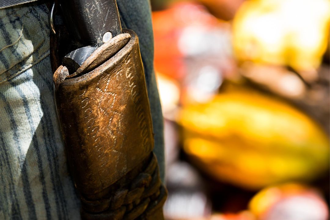 Cacau - Chocolate - Cacau Amado - Ilhéus - Fotografias de Paisagens - Paisagens Bonitas - Paisagens Lindas - Fotos de Paisagens Naturais - Fotografia de Paisagem - Fotografia de Viagem - Terras do Sem Fim