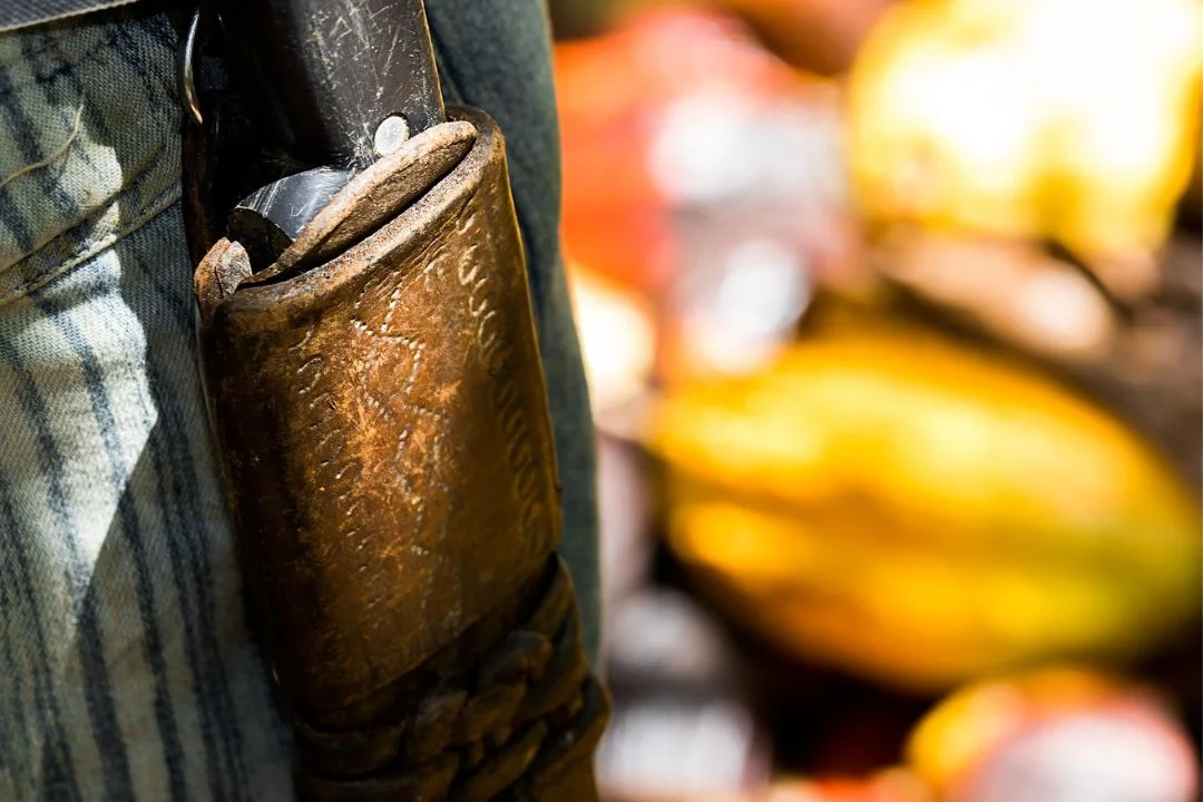 Cacau - Chocolate - Cacau Amado - Ilhéus - Fotografias de Paisagens - Paisagens Bonitas - Paisagens Lindas - Fotos de Paisagens Naturais - Fotografia de Paisagem - Fotografia de Viagem - Terras do Sem Fim