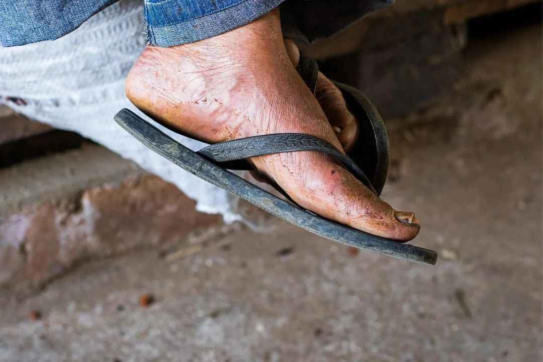 Cacau - Chocolate - Cacau Amado - Ilhéus - Fotografias de Paisagens - Paisagens Bonitas - Paisagens Lindas - Fotos de Paisagens Naturais - Fotografia de Paisagem - Fotografia de Viagem - Terras do Sem Fim