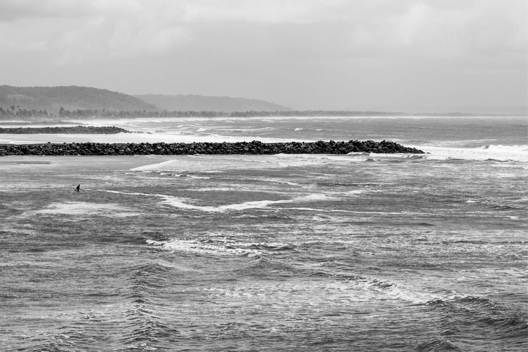 Cacau - Chocolate - Cacau Amado - Ilhéus - Fotografias de Paisagens - Paisagens Bonitas - Paisagens Lindas - Fotos de Paisagens Naturais - Fotografia de Paisagem - Fotografia de Viagem - Terras do Sem Fim