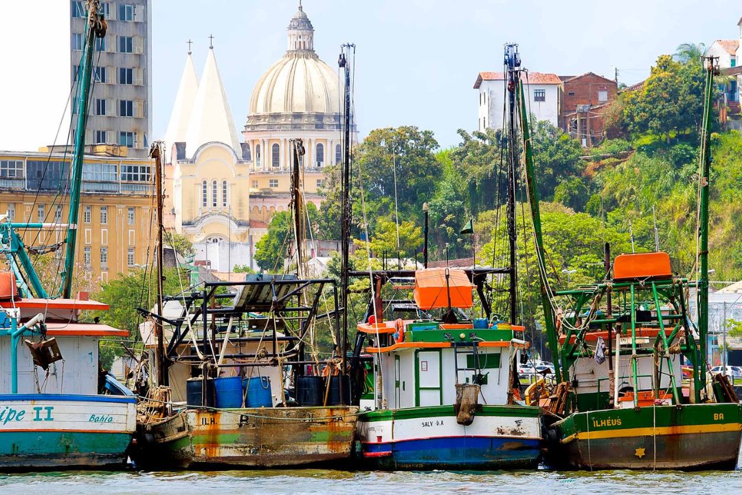 Cacau - Chocolate - Cacau Amado - Ilhéus - Fotografias de Paisagens - Paisagens Bonitas - Paisagens Lindas - Fotos de Paisagens Naturais - Fotografia de Paisagem - Fotografia de Viagem - Terras do Sem Fim