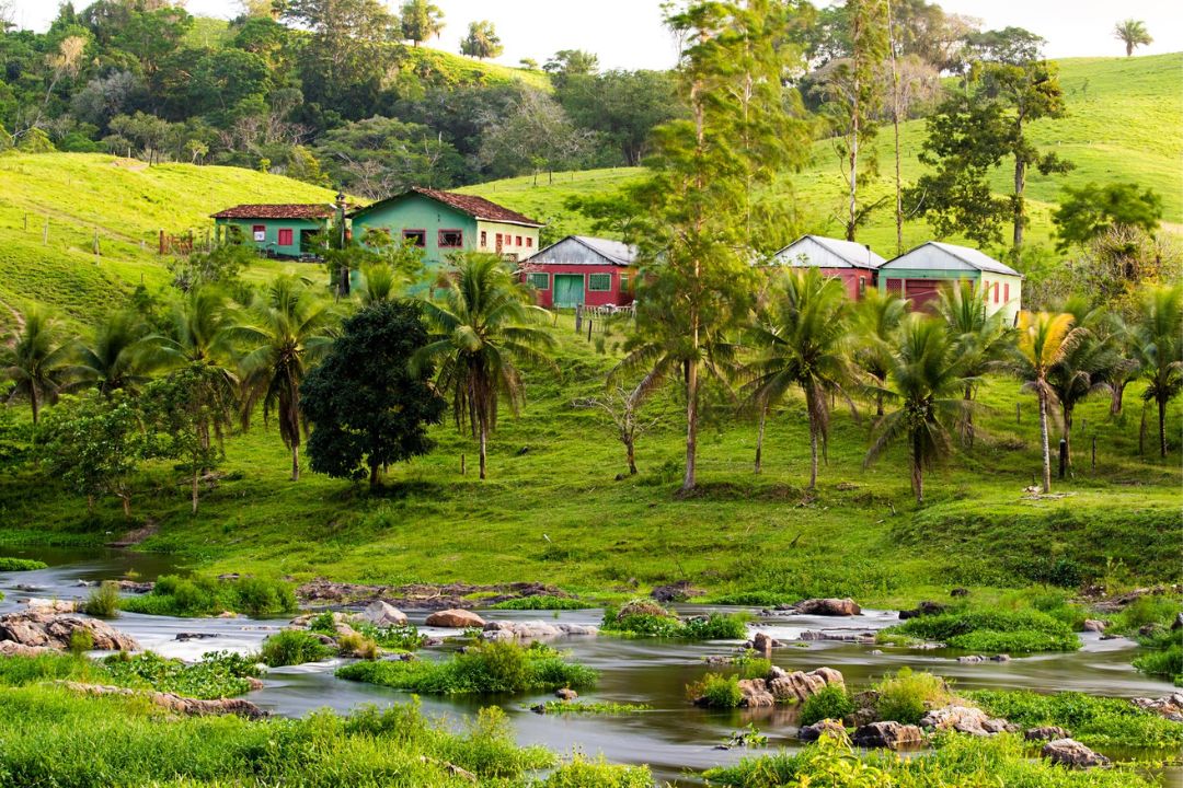 Cacau - Chocolate - Cacau Amado - Ilhéus - Fotografias de Paisagens - Paisagens Bonitas - Paisagens Lindas - Fotos de Paisagens Naturais - Fotografia de Paisagem - Fotografia de Viagem - Terras do Sem Fim