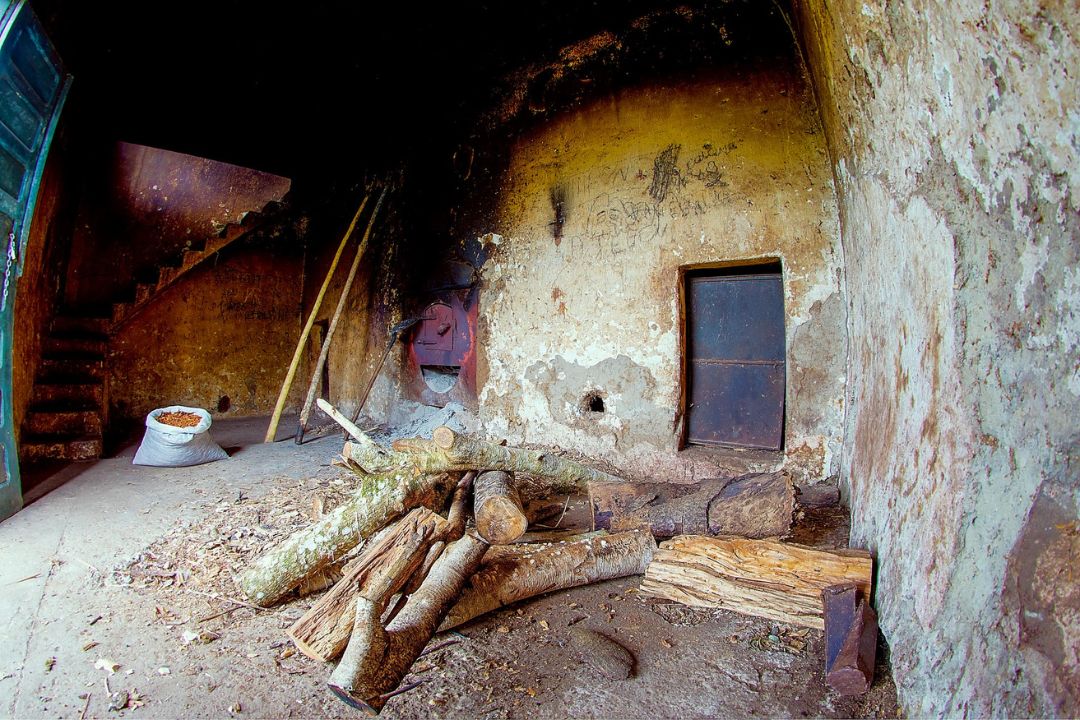 Cacau - Chocolate - Cacau Amado - Ilhéus - Fotografias de Paisagens - Paisagens Bonitas - Paisagens Lindas - Fotos de Paisagens Naturais - Fotografia de Paisagem - Fotografia de Viagem - Terras do Sem Fim