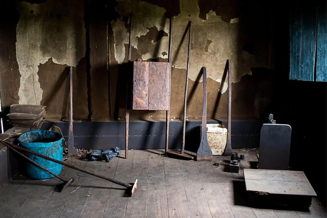 Cacau - Chocolate - Cacau Amado - Ilhéus - Fotografias de Paisagens - Paisagens Bonitas - Paisagens Lindas - Fotos de Paisagens Naturais - Fotografia de Paisagem - Fotografia de Viagem - Terras do Sem Fim