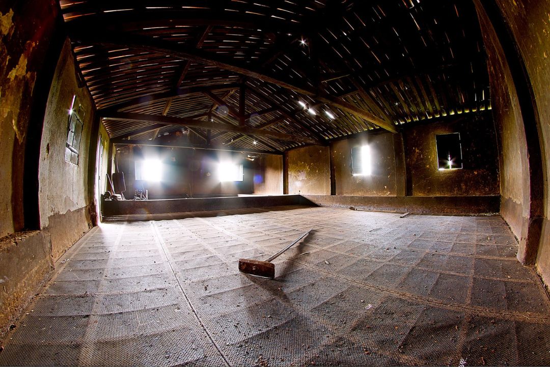 Cacau - Chocolate - Cacau Amado - Ilhéus - Fotografias de Paisagens - Paisagens Bonitas - Paisagens Lindas - Fotos de Paisagens Naturais - Fotografia de Paisagem - Fotografia de Viagem - Terras do Sem Fim