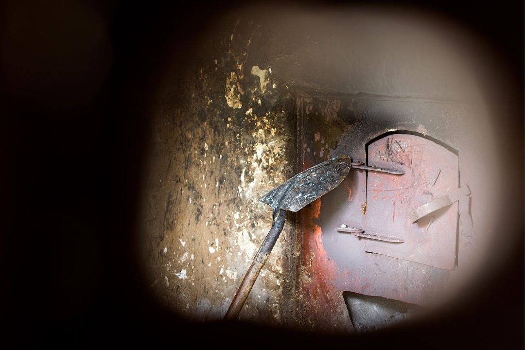 Cacau - Chocolate - Cacau Amado - Ilhéus - Fotografias de Paisagens - Paisagens Bonitas - Paisagens Lindas - Fotos de Paisagens Naturais - Fotografia de Paisagem - Fotografia de Viagem - Terras do Sem Fim