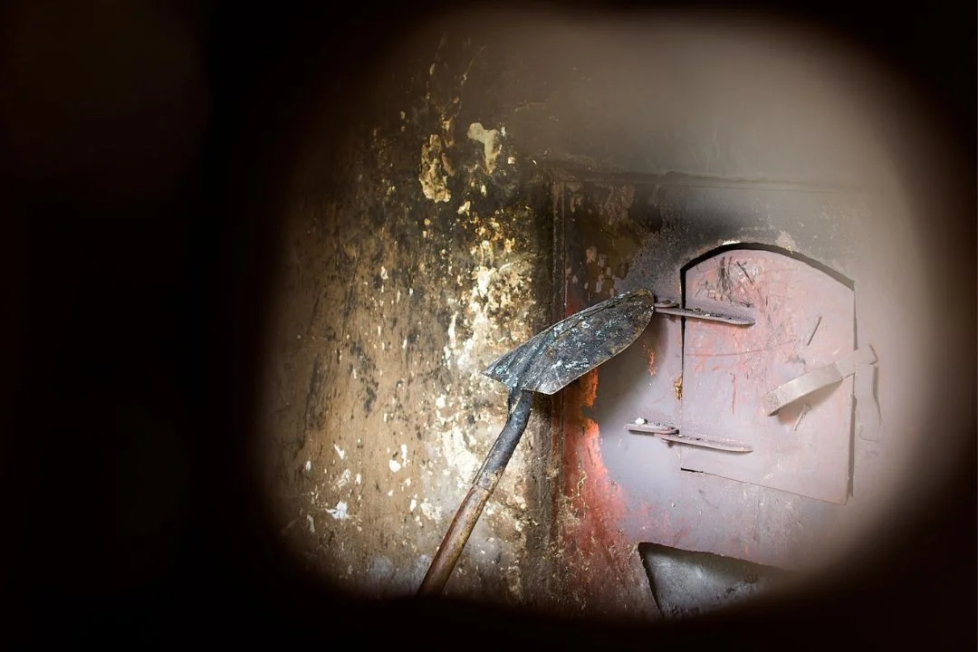 Cacau - Chocolate - Cacau Amado - Ilhéus - Fotografias de Paisagens - Paisagens Bonitas - Paisagens Lindas - Fotos de Paisagens Naturais - Fotografia de Paisagem - Fotografia de Viagem - Terras do Sem Fim