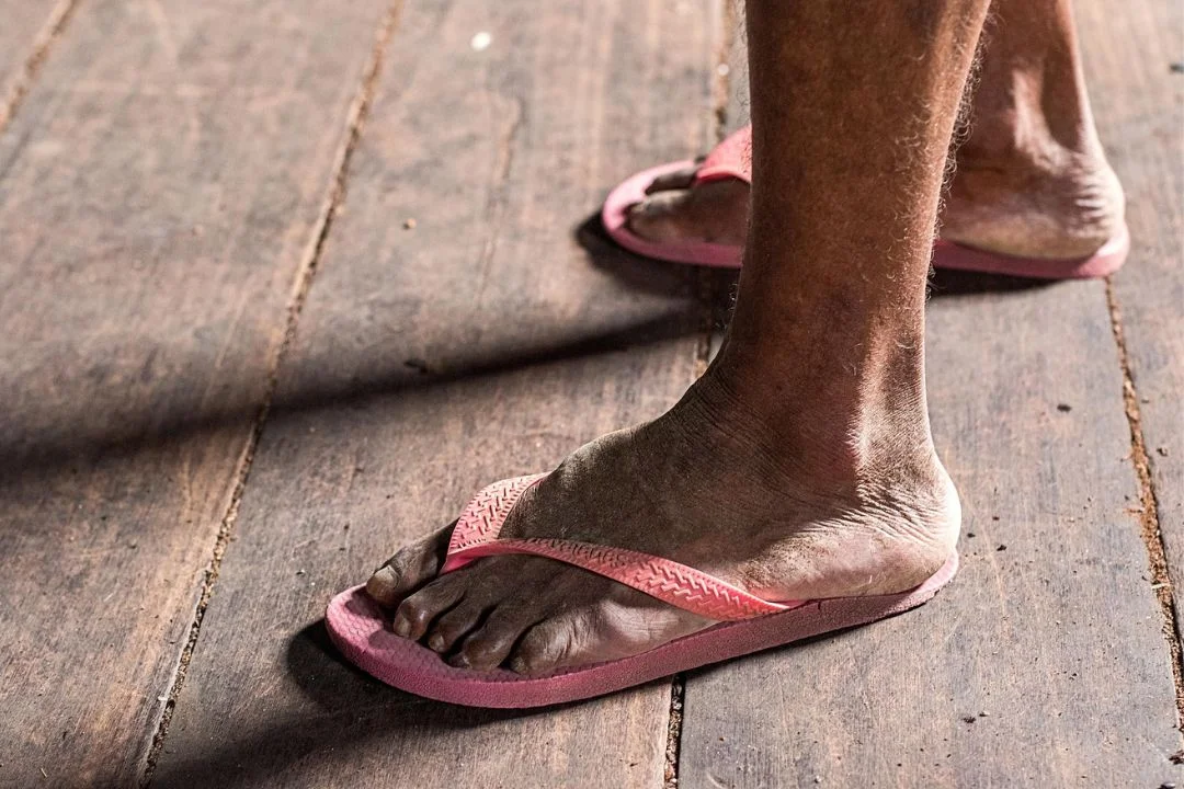 Cacau - Chocolate - Cacau Amado - Ilhéus - Fotografias de Paisagens - Paisagens Bonitas - Paisagens Lindas - Fotos de Paisagens Naturais - Fotografia de Paisagem - Fotografia de Viagem - Terras do Sem Fim