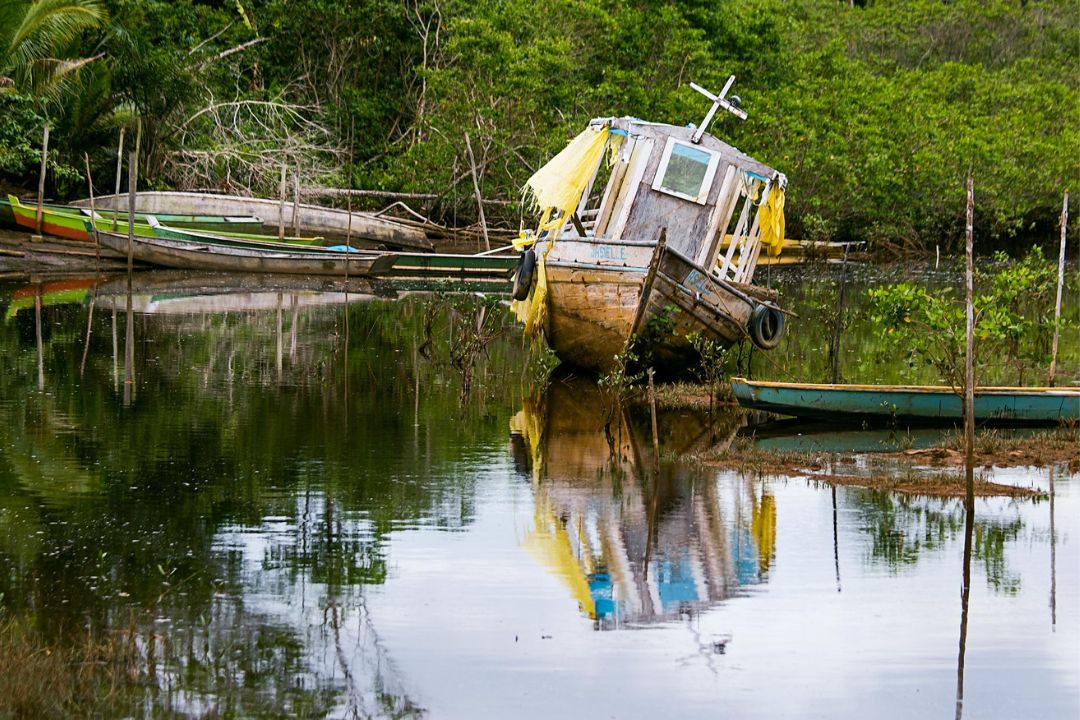 Cacau - Chocolate - Cacau Amado - Ilhéus - Fotografias de Paisagens - Paisagens Bonitas - Paisagens Lindas - Fotos de Paisagens Naturais - Fotografia de Paisagem - Fotografia de Viagem - Terras do Sem Fim