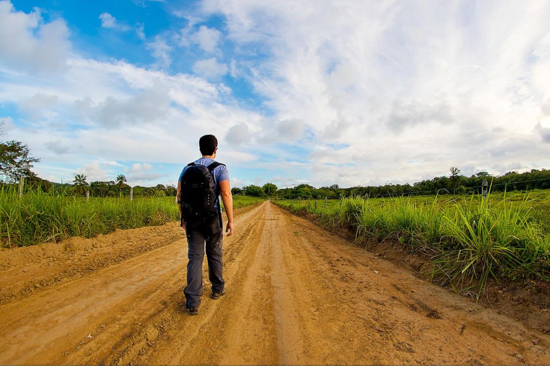 Cacau - Chocolate - Cacau Amado - Ilhéus - Fotografias de Paisagens - Paisagens Bonitas - Paisagens Lindas - Fotos de Paisagens Naturais - Fotografia de Paisagem - Fotografia de Viagem - Terras do Sem Fim