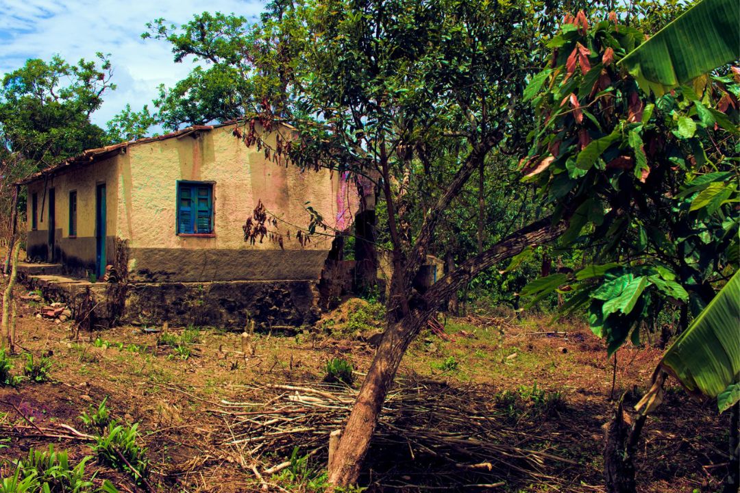 Cacau - Chocolate - Cacau Amado - Ilhéus - Fotografias de Paisagens - Paisagens Bonitas - Paisagens Lindas - Fotos de Paisagens Naturais - Fotografia de Paisagem - Fotografia de Viagem - Terras do Sem Fim