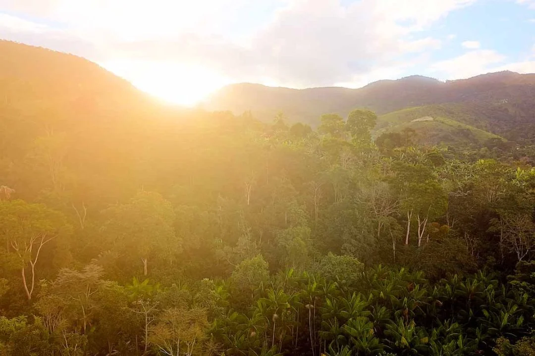 Cacau - Chocolate - Cacau Amado - Ilhéus - Fotografias de Paisagens - Paisagens Bonitas - Paisagens Lindas - Fotos de Paisagens Naturais - Fotografia de Paisagem - Fotografia de Viagem - Terras do Sem Fim
