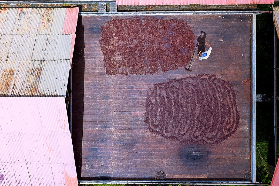 Cacau - Chocolate - Cacau Amado - Ilhéus - Fotografias de Paisagens - Paisagens Bonitas - Paisagens Lindas - Fotos de Paisagens Naturais - Fotografia de Paisagem - Fotografia de Viagem - Terras do Sem Fim