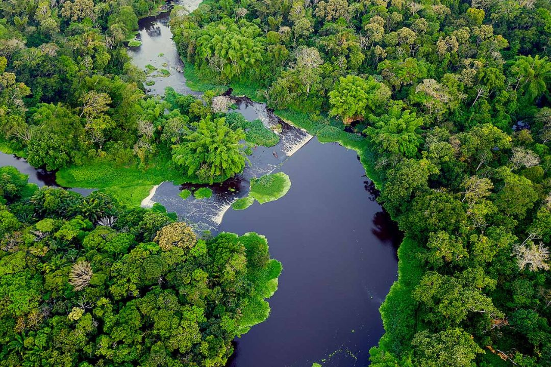 Cacau - Chocolate - Cacau Amado - Ilhéus - Fotografias de Paisagens - Paisagens Bonitas - Paisagens Lindas - Fotos de Paisagens Naturais - Fotografia de Paisagem - Fotografia de Viagem - Terras do Sem Fim