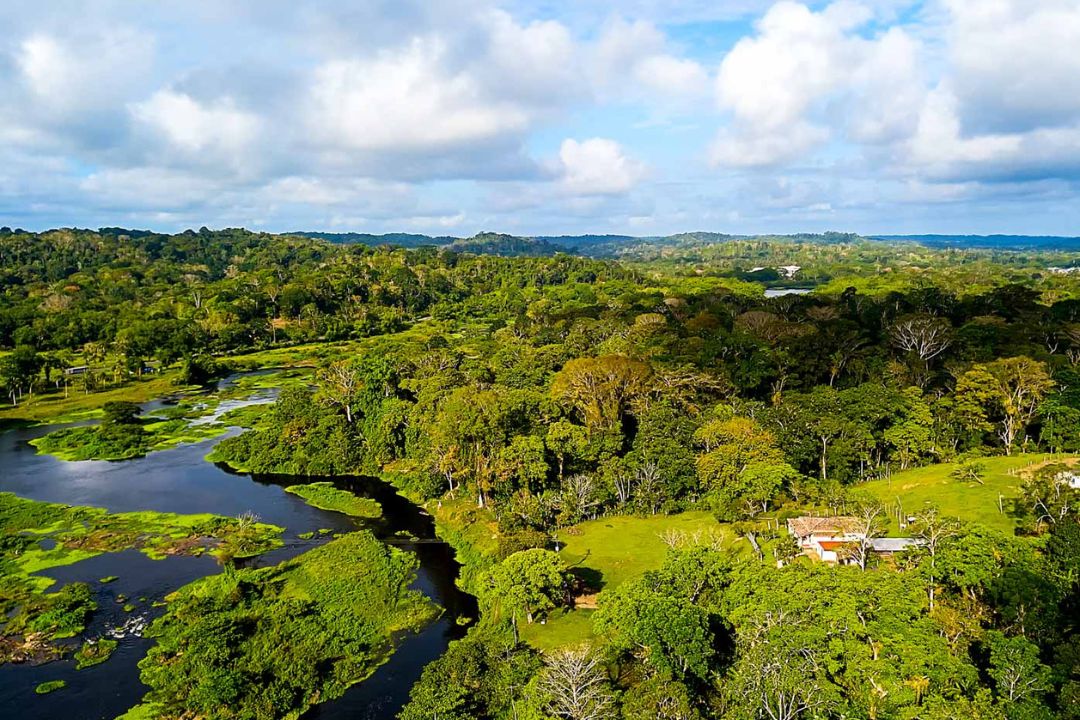 Cacau - Chocolate - Cacau Amado - Ilhéus - Fotografias de Paisagens - Paisagens Bonitas - Paisagens Lindas - Fotos de Paisagens Naturais - Fotografia de Paisagem - Fotografia de Viagem - Terras do Sem Fim
