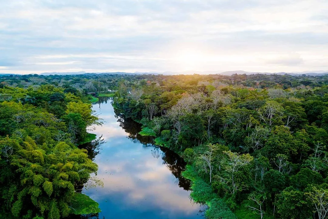 Cacau - Chocolate - Cacau Amado - Ilhéus - Fotografias de Paisagens - Paisagens Bonitas - Paisagens Lindas - Fotos de Paisagens Naturais - Fotografia de Paisagem - Fotografia de Viagem - Terras do Sem Fim