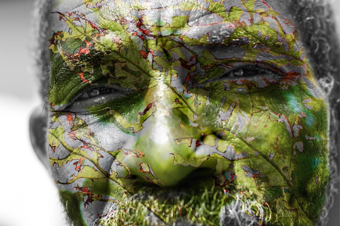 Cacau - Chocolate - Cacau Amado - Ilhéus - Fotografias de Paisagens - Paisagens Bonitas - Paisagens Lindas - Fotos de Paisagens Naturais - Fotografia de Paisagem - Fotografia de Viagem - Terras do Sem Fim