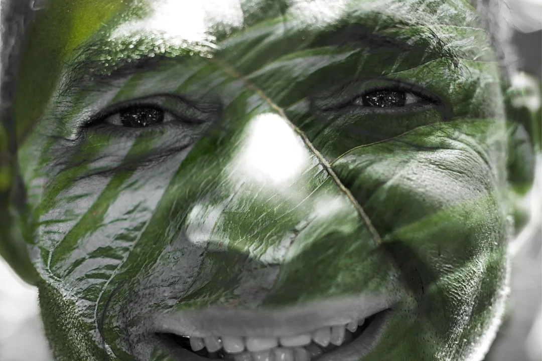 Cacau - Chocolate - Cacau Amado - Ilhéus - Fotografias de Paisagens - Paisagens Bonitas - Paisagens Lindas - Fotos de Paisagens Naturais - Fotografia de Paisagem - Fotografia de Viagem - Terras do Sem Fim