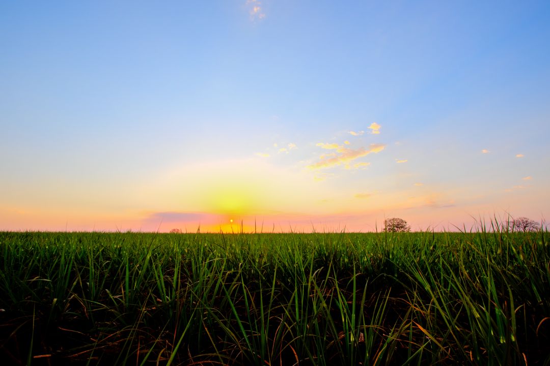 Terra e céu: um livro visual repleto de histórias contadas através de cada detalhe e matiz da paisagem - Fotografia de Paisagem