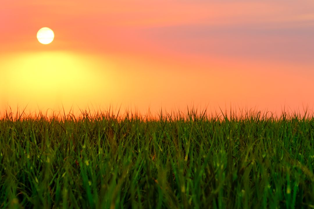 A dança da luz na natureza intocada cria instantes preciosos que ressoam através das imagens capturadas - Fotografia de Paisagem