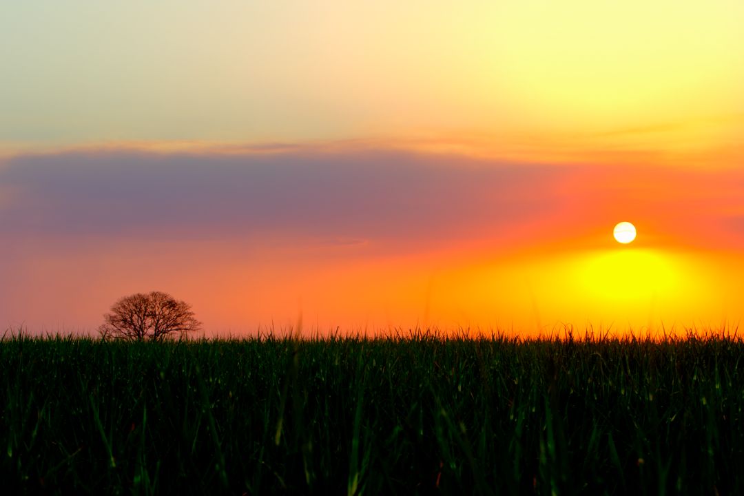 Detalhes sutis capturam essências profundas, revelando a beleza escondida em cada centímetro da paisagem - Fotografia de Paisagem