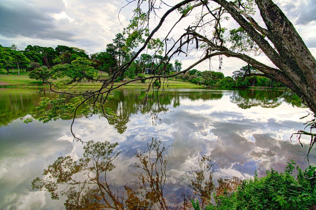 O ponto de encontro entre céu e terra se transforma em poesia visual, revelando histórias mágicas em cada matiz e sombra - Fotografia de Paisagem