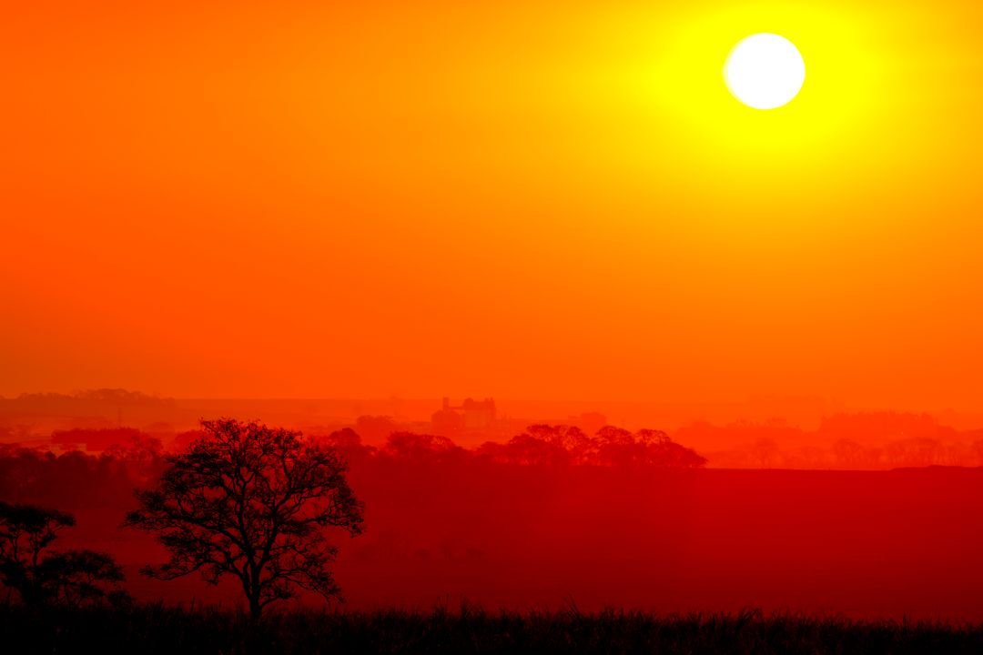 O encanto da vida na natureza é capturado em um clique, congelando instantes efêmeros que ressoam em nossas almas - Fotografia de Paisagem