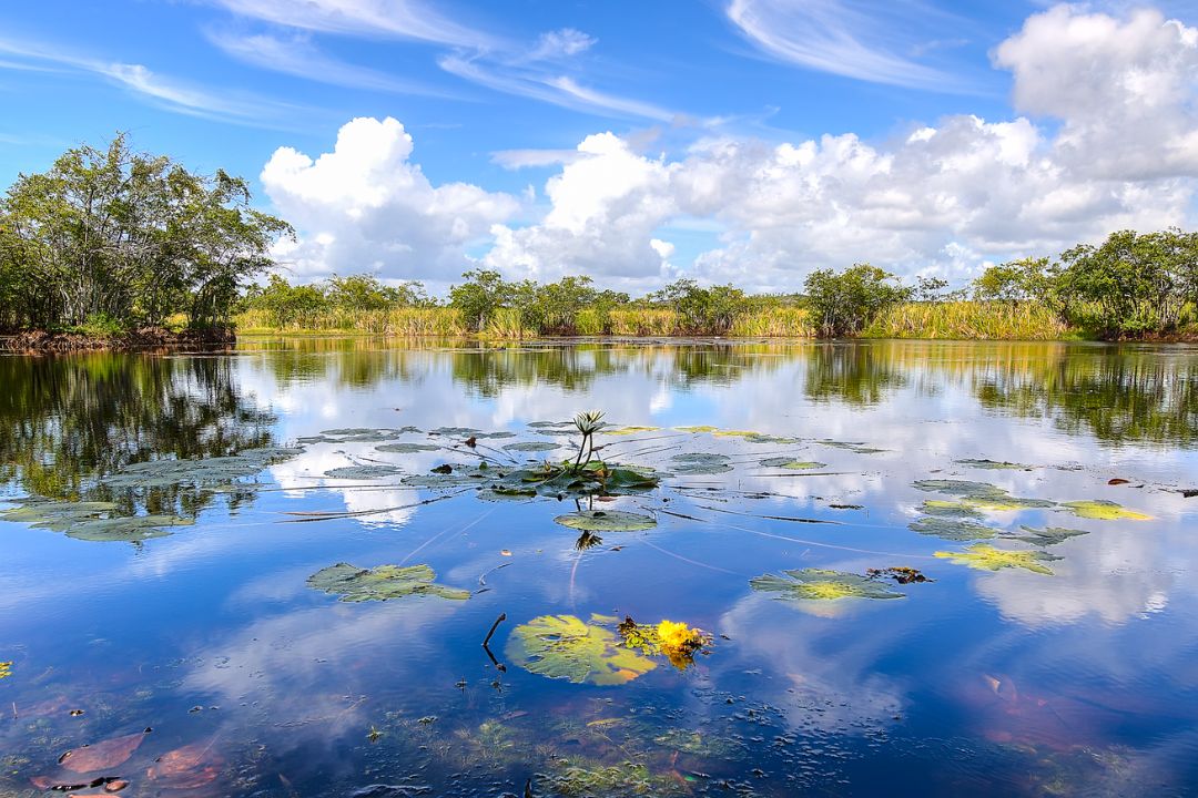 Cores ecoam em imagens, ecoando emoções e contando histórias que ecoam em silêncio através do tempo - Fotografia de Paisagem