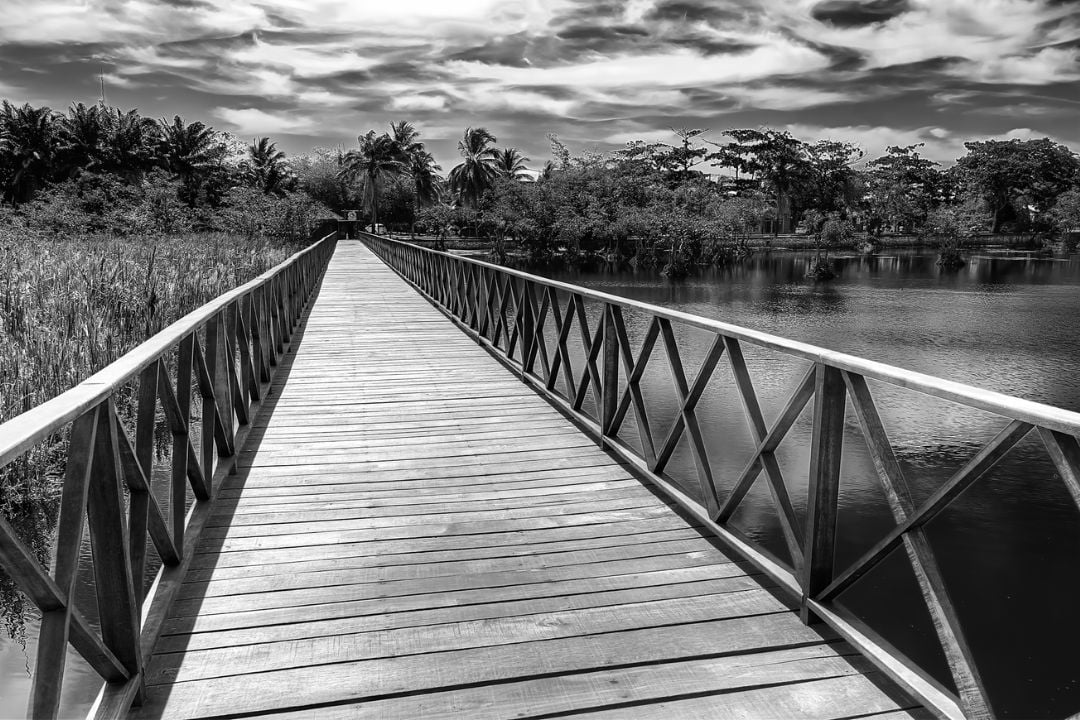 A captura de instantes eterniza histórias silenciosas, revelando a beleza que reside nos detalhes de cada cena - Fotografia de Paisagem